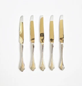 Oneida Silver Boutonniere Set 5 Neu Französisches Massives Messer Edelstahl Glänzend Floral - Bild 1 von 11