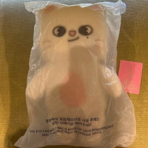 Stray Kids SKZOO Jiniret Official Plush Teddy Bear Ver. 5’clock W/Passport - Picture 1 of 1