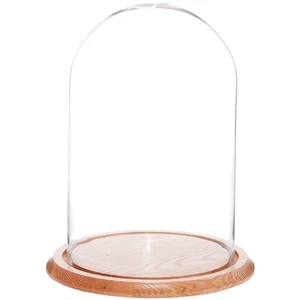 Plymor 9,75" x 15" Glas Display Kuppel Cloche (Eichenholzsockel) - Bild 1 von 1