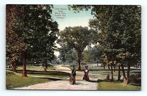 Postcard Iowa Pavilion Bever Park Grand Avenue Entrance Cedar Rapids, IA Man Dog - Picture 1 of 3