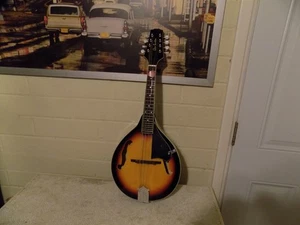 Glen Burton Tobacco Sunburst Mandolin, Model A1- TS, Very Nice, With Soft Case - Picture 1 of 10