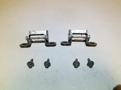 10 11 12 Lincoln MKT maletero puerta levadiza par de bisagras OEM Foto 1 de 4