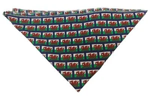 Wales Flag Rugby Football Supporters St Davids Day Bandana Kerchief Fancy Dress - Picture 1 of 3