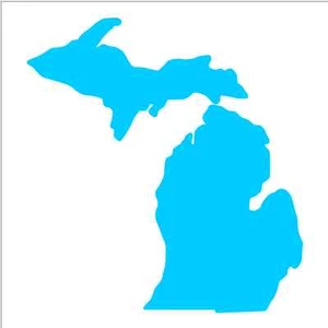 Michigan Map 3" Vinyl Decal Sticker FREE SHIPPING WITH TRACKING - Picture 1 of 11