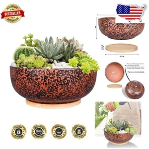 Handmade Black Glazed 10" Round Planter for Succulents - Indoor & Outdoor Decor - Picture 1 of 9