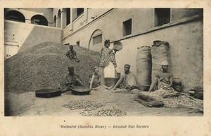 PC GAMBIA BANJUL BATHURST GROUND NUT SORTERS TYPES, Vintage Postcard (b55905) - Bild 1 von 2