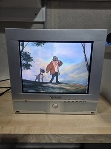 Vintage Polaroid CRT TV TTX-141 Retro Gaming Television True Flat 3x AV Inputs - Picture 1 of 9