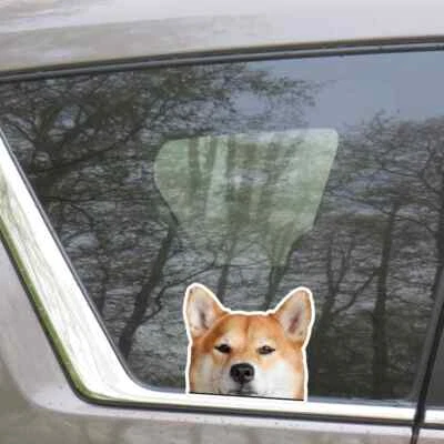 Peeking Red Shiba Inu Car Sticker / Realistic Dog Head Vinyl Waterproof Decal
