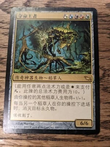 MTG Shadowmoor - Reaper King - Chinese - Picture 1 of 1