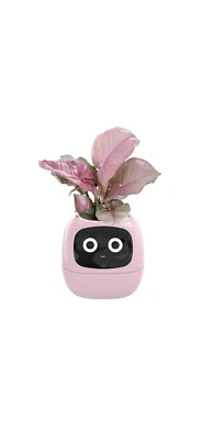 Interactive Smart Indoor Garden Planter App/Internet Control Pink - Изображение 1 из 4