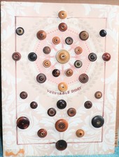  Vintage Collection of Vegetable Ivory Whistle Buttons 35 Artfully Mounted 9x12