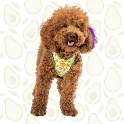 Avocado Print Dog Harness – Reflective, Comfy, Adjustable Pawstar  Size LARGE - Image 1 of 4