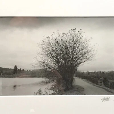 Camino por un estanque, fotografía de paisaje de Toru Uchida, firmada Foto 1 de 4