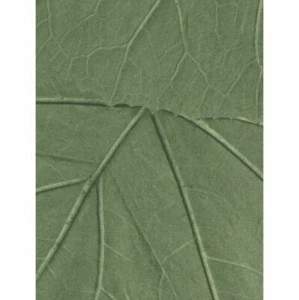 Papel pintado textil Rasch vellón Jungle Fever 138995 gris verde hoja elegante - Imagen 1 de 1