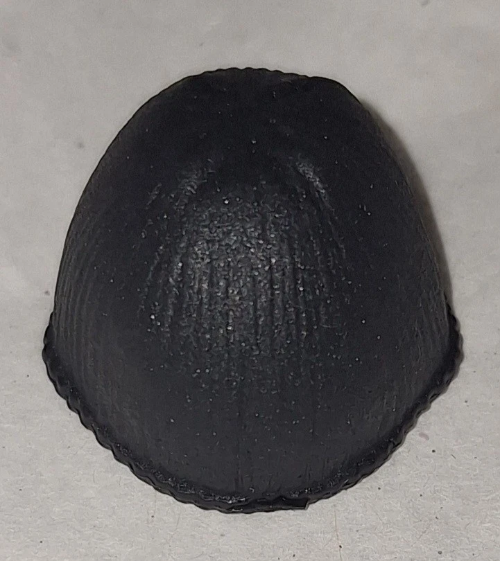 Figura de acción gorro negro WWE Mattel Elite accesorio lucha libre Brock Foto 1 de 1