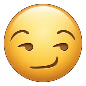 Emoji Smirk Magnet 4" Zoll Magnet Kühlschrankmagnet 😎 - Bild 1 von 1