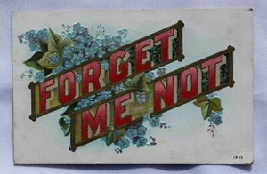 Vintage Postcard; Forget Me Not; 1905; Stamped 1910 - Imagen 1 de 2