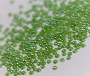 Hotfix Ceramic Stones GRAS GREEN 3mm grün Strass Halbperlen Hochzeit - Picture 1 of 18