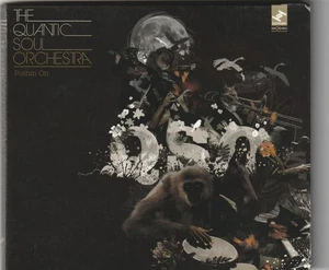 The Quantic Soul Orchestra – Pushin On CD digipak - Picture 1 of 2
