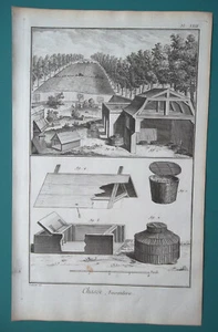 FAISANTRY Crianza de faisanes cría aves aves aves - Impresión Diderot 1763 - Imagen 1 de 1