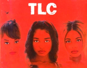Crazy, Sexy, Cool 1994 Music CD, Watefalls Lisa "Left Eye" Lopez, Chili, T-Boz - Picture 1 of 7