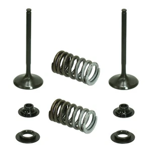 Fits 2015 Suzuki RMZ450 Psychic Intake Valve Kit 6396511 - Picture 1 of 1