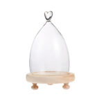 Clear Glass Cloche Globe Display Dome Bell Jar Kuchenständer mit hölzerner Basis