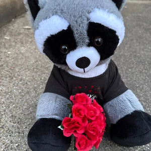 Build-a-Bear Waschbär m. Valentinstag T-Shirt und Handgelenk Rosenstrauß - Bild 1 von 8