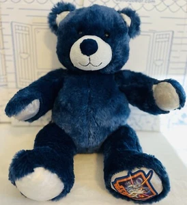 Build a Bear Star Wars Limited Edition Teddy Plüschtier blaues Puppenspielzeug - Bild 1 von 15
