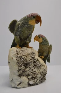 Stone Carved Parrots Birds Tourmaline Quartz Large Collectible Crystal Decor 9" - Picture 1 of 24
