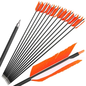 Archery 30" Carbon Arrows SP500 Flu Flu Feathers Compound Recurve Bow Hunting - Picture 1 of 17