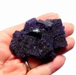Cristal de fluorita púrpura Eureka mina Crittenden Co Kentucky EE. UU. espécimen mineral - Imagen 1 de 20