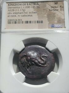Kingdom Of Bactria Demetrius I AE28 Elephant NGC XF Ancient Coin