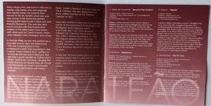 Nara Leão - The Muse Of Bossa Nova - Essential Collection CD 2003 CD, Comp UK W - Picture 1 of 4