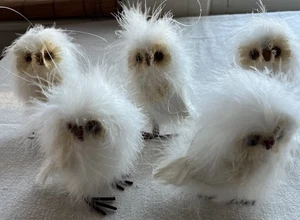 Juego grande de 5 adornos de búhos emplumados blancos bosque Navidad - Imagen 1 de 7