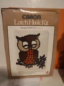Caron Latch Hook Kit “Sleeping Owl”Wall Art Rug Craft 1977 Vintage 20 X 27” NEW - Picture 1 of 3