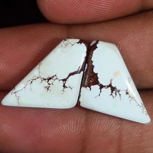 Natural Wild Horse Pair Cabochon , Wild Horse Gemstone 16.60 Cts 12x22x4 mm HJ98 - Picture 1 of 6