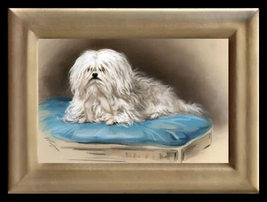 Cuadro artístico miniatura de casa de muñecas de perro maltés 8784 - Imagen 1 de 1