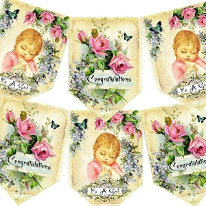 Bunting Baby Girl, Vintage Baby Girl Bunting, It's A Girl Bunting, Baby Shower - Imagen 1 de 3