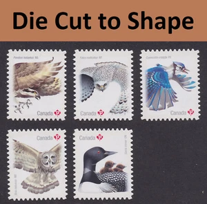 Canada 3018i-3022i Birds P DCTS single set MNH 2017 - Picture 1 of 6