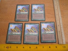 MTG Cat Warriors Legends X5 NICE card Magic the Gathering ORIGINAL