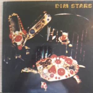 Vinyl LP-Dim Stars-Thurston Moore, R.Hell,D. Fleming-Weissmuster - Bild 1 von 4
