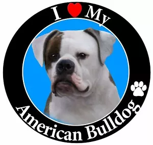 AMERICAN BULLDOG FACE DOG Pendant On 925 Sterling Silver 20" necklace women men - Picture 1 of 9