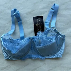 Secrets In Lace 36DDD Raquel Lace Plunge BH Baby Blue Style 42121 - Bild 1 von 4