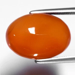 💎 5.38ct 14.2x10mm Oval Cabochon Natural Orange Carnelian - Africa Gemstone - Picture 1 of 4