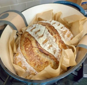 EASY Sourdough Bread Starter San Francisco - Live 200yrs Old BEST SELLER! - Picture 1 of 17