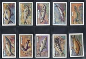 PHILLIPS - FISH - FULL SET OF 25 CARDS - Picture 1 of 6
