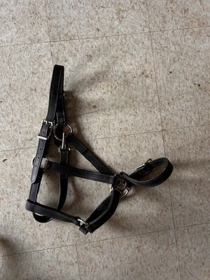 Biothane Halfter groß PFERD Größe schwarz Edelstahl Hardware *sehr guter Zustand - Bild 1 von 3