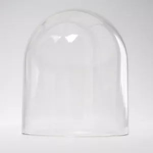Empty Dome - Picture 1 of 1