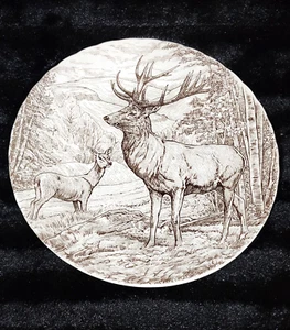 Queen's by Churchill Brown Thanksgiving Deer Fawn Dinner Plates 10" Set of 4 - Picture 1 of 10